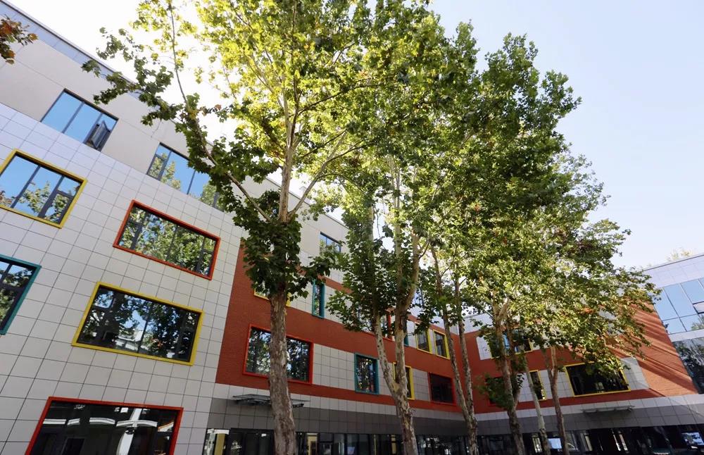 山影星工坊的秋色，與心中的美好不期而遇